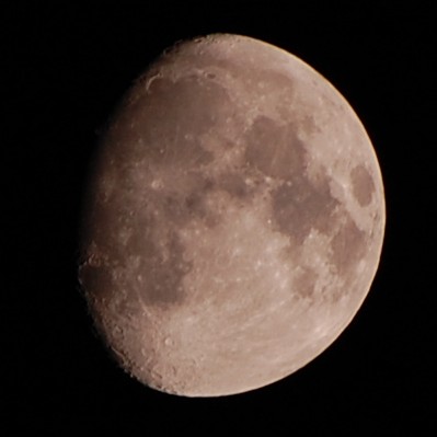 月 300mm
